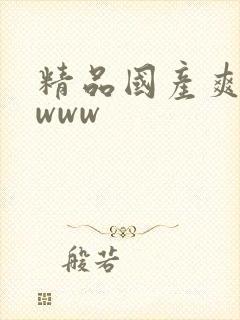 精品国产爽爽爽www
