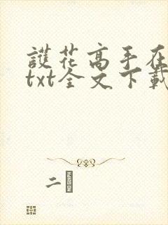 护花高手在都市txt全文下载