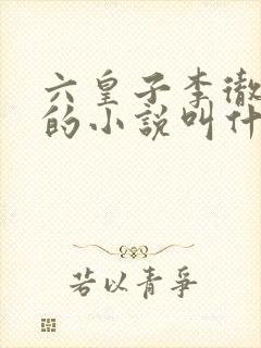 六皇子李彻穿越的小说叫什么