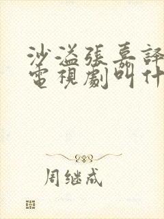 沙溢张嘉译演的电视剧叫什么名字