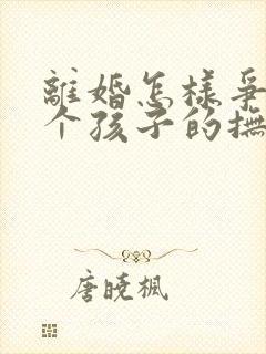 离婚怎样争夺两个孩子的抚养权