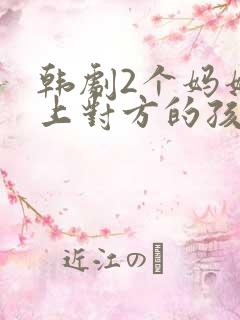 韩剧2个妈妈爱上对方的孩子