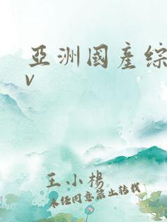 亚洲国产综合av