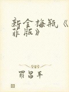 新金梅瓶《龚玥菲版》