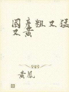 国产粗又猛又爽又黄