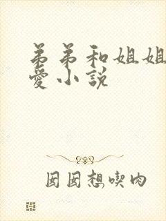 弟弟和姐姐的恋爱小说