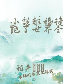 小说离婚后她惊艳了世界全文阅读