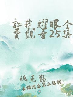 许我耀眼全集免费观看25集