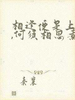 相逢便是上上签,何须相思煮余年