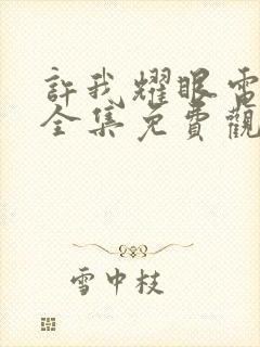 许我耀眼电视剧全集免费观看西瓜