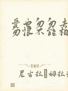 爱也匆匆去也匆匆恨不能相逢是什么歌