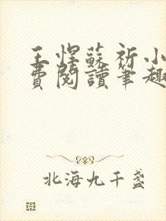 王悍苏祈小说免费阅读笔趣阁最新