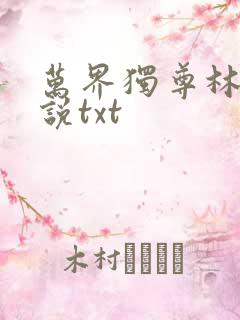 万界独尊林枫小说txt