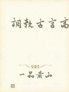 调教古言高h