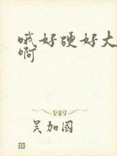 哦好硬好大好爽啊