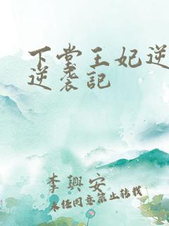 下堂王妃逆袭记逆袭记