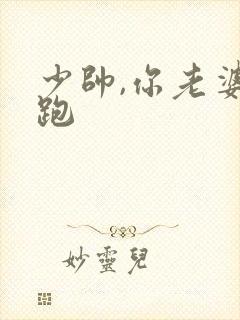 少帅,你老婆又跑