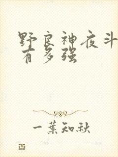 野良神夜斗到底有多强
