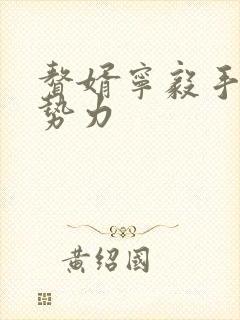 赘婿宁毅手中的势力