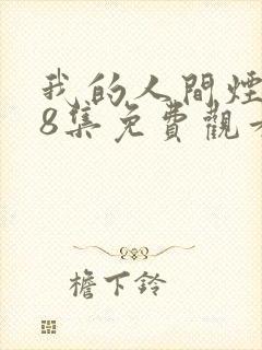 我的人间烟火48集免费观看