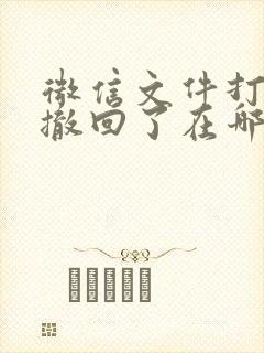 微信文件打开后撤回了在哪能找到