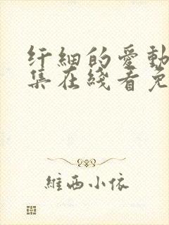 纤细的爱动漫全集在线看免费观看