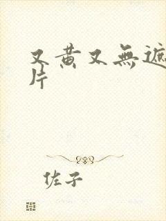 又黄又无遮挡毛片