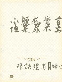 小腹感觉有尿意但是尿不出来