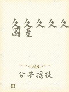 久久久久久精品国产