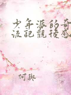 少年派的奇幻漂流记观后感