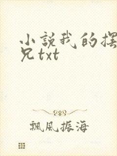 小说我的摆烂师兄txt