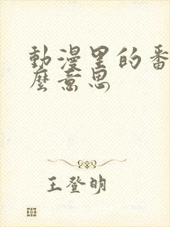 动漫里的番是什么意思