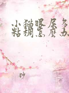 小猫眼屎多又黄粘稠怎么办