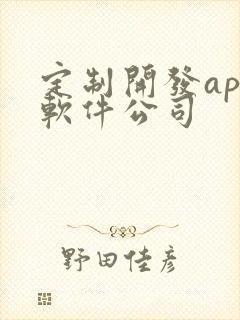 定制开发app软件公司