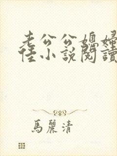 老公公媳妇与柔佳小说阅读免费