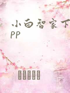 小白智家下载app