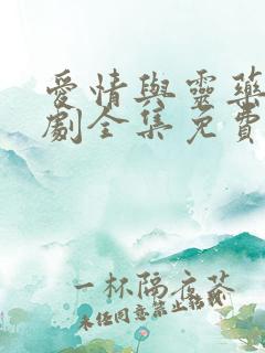 爱情与灵药电视剧全集免费观看