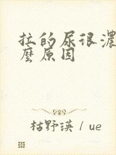 拉的尿很浓是什么原因