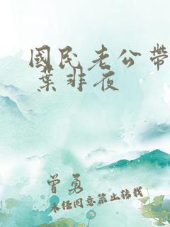 国民老公带回家 叶非夜