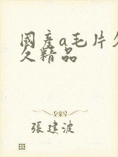 国产a毛片久久久精品