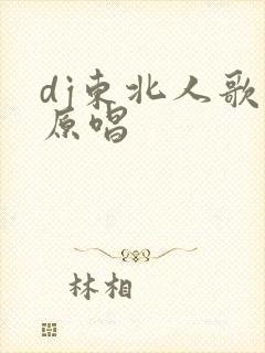 dj东北人歌曲原唱