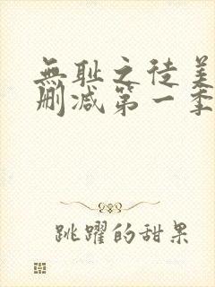 无耻之徒美版无删减第一季