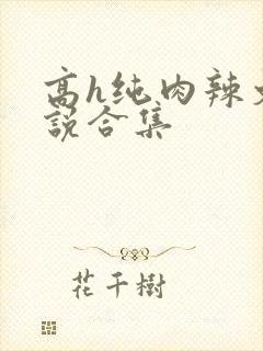 高h纯肉辣文小说合集