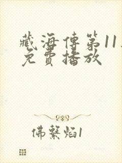 藏海传第11集免费播放