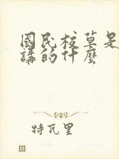 国民校草是女生讲的什么