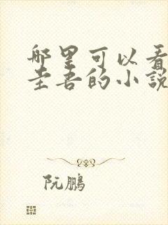 哪里可以看东野圭吾的小说