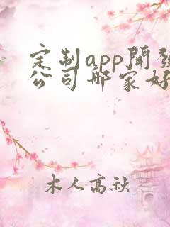 定制app开发公司哪家好