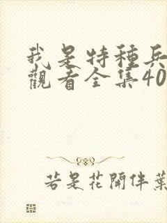 我是特种兵免费观看全集40集