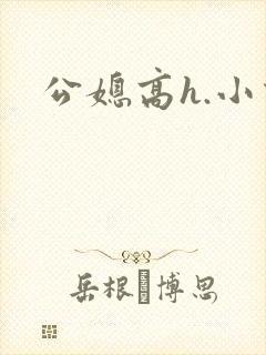 公媳高h.小说