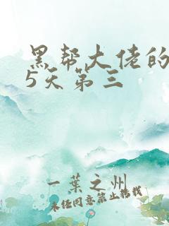 黑帮大佬的365天第三